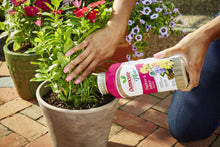 Load image into Gallery viewer, Osmocote Smart-Release Plant Food