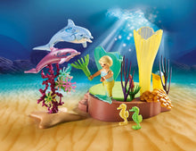 Load image into Gallery viewer, Playmobil Toy
