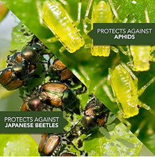 Load image into Gallery viewer, BioAdvanced 701100A 2-in-1 Systemic Rose &amp; Flower Care Fertilizer, Insect Killer, 5-Pound, Granules