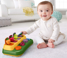 Load image into Gallery viewer, Fisher-Price Tiny Garden Pop-up Surprise