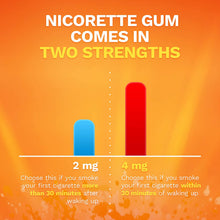 Load image into Gallery viewer, Nicorette 2mg Nicotine Gum to Quit Smoking - Fruit Chill Flavored Stop Smoking Aid, 160 Count