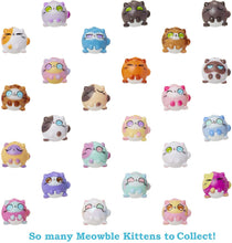 Load image into Gallery viewer, Kitten Catfé Purrista Girls Doll Figures