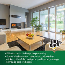 Load image into Gallery viewer, Hot Shot Pest Control Concentrate