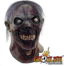 Load image into Gallery viewer, Mask Head &amp; Neck Zombie Furious Walker