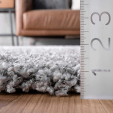 Load image into Gallery viewer, nuLOOM Cozy Soft &amp; Fluffy Solid Shag Area Rug, 4' x 6', Silver