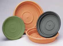 Load image into Gallery viewer, Bloem Dura Cotta Plant Saucer - 16&quot;