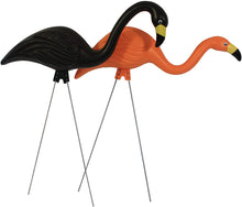 Load image into Gallery viewer, Bloem DOTCOMG8-10BK Spooky Halloween Flamingo 25&quot; Party Yard Stakes (10-Pack), 10 Pack, Orange Black