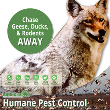 Load image into Gallery viewer, Bird-X Coyote Flat Decoy