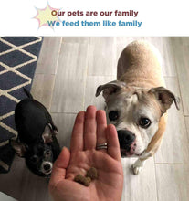 Load image into Gallery viewer, Gentle Giants 90% Beef World Class Wet Dog Food