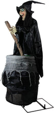 Load image into Gallery viewer, Northlight Halloween Decorations, Black