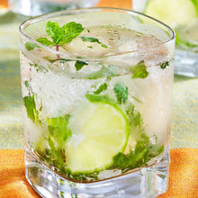 Load image into Gallery viewer, Bonnie Plants 5109 Spearmint, 1-Pack