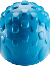 Load image into Gallery viewer, Fisher-Price Think &amp; Learn Rhythm &#39;n Roll Hedgehog