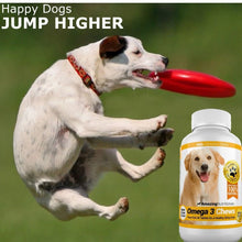 Load image into Gallery viewer, Amazing Omega for Dogs - Dog Fish Oil Pet Antioxidant for Shiny Coat, Joint and Brain Health - 120 Chews