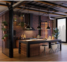Load image into Gallery viewer, Progress Lighting Fresnel Lens 1 Light LED Pendant with AC Module