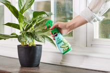 Load image into Gallery viewer, Miracle-GRO VB02194, 8 oz, 2-Pack Leaf Shine, 1 Pack,