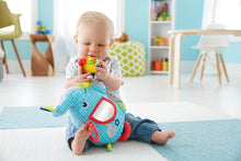 Load image into Gallery viewer, Fisher-Price Activity Elephant