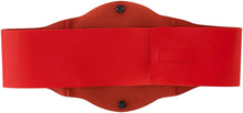 Load image into Gallery viewer, WWE Raw Tag Team Championship Belt
