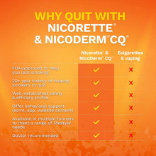 Load image into Gallery viewer, Nicorette 4 mg Nicotine Gum to Quit Smoking - Flavored Stop Smoking Aid, Fruit Chill, 100 Count