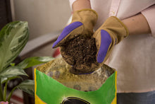 Load image into Gallery viewer, Miracle-Gro Potting Mix