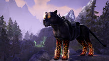 Load image into Gallery viewer, The Elder Scrolls Online: Summerset