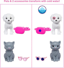 Load image into Gallery viewer, Barbie Color Reveal Doll Set with 25 Surprises Including 2 Pets &amp; Day-to-Night Transformation: 15 Mystery Bags Contain Doll Clothes &amp; Accessories for 2 Looks; Water Reveals Look of Metallic Doll