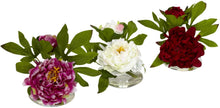 Load image into Gallery viewer, Nearly Natural 4789 Peony with Glass Vase Assorted, Set of 3