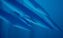 Load image into Gallery viewer, ABZÛ0