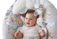 Load image into Gallery viewer, Fisher-Price Deluxe Bounce