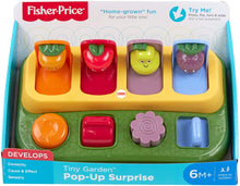 Load image into Gallery viewer, Fisher-Price Tiny Garden Pop-up Surprise