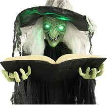 Load image into Gallery viewer, Haunted Hill Farm HHWITCH-9FLS Life-Size Animatronic Witch, Indoor/Outdoor Halloween Decoration, Multi