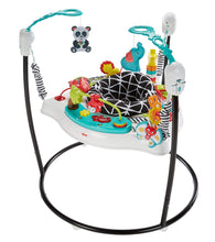Load image into Gallery viewer, Fisher-Price Animal Wonders Jumperoo, White
