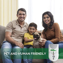 Load image into Gallery viewer, ASPECTEK Lantern for Outdoor and Indoor Use