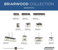 Load image into Gallery viewer, Progress Lighting P500041-031 Briarwood Pendants