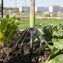 Load image into Gallery viewer, AMES 2916300 5-Tine Welded Steel Floral Cultivator