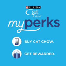 Load image into Gallery viewer, Purina Cat Chow Gentle Sensitive Stomach Adult Dry Cat Food