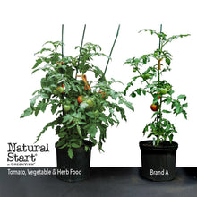 Load image into Gallery viewer, Natural Start by GreenView 2729819 Tomato, Vegetable &amp; Herb Food, 2 lb