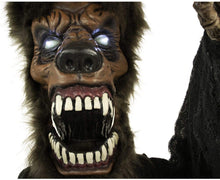 Load image into Gallery viewer, Haunted Hill Farm HHWOLF-2FLSA Life-Size Animatronic Werewolf, Indoor/Outdoor Halloween Decoration, Multi