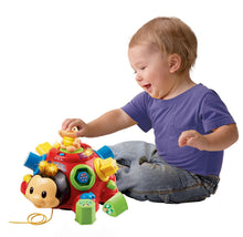 Load image into Gallery viewer, Vtech Crazy Legs Learning Bug