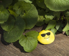 Load image into Gallery viewer, Creativity for Kids Painting Kit