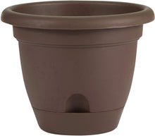 Load image into Gallery viewer, Bloem Lucca Self Watering Planter, 12&quot;, Chocolate (LP1245)