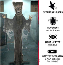 Load image into Gallery viewer, Haunted Hill Farm HHWOLF-2FLSA Life-Size Animatronic Werewolf, Indoor/Outdoor Halloween Decoration, Multi
