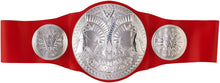 Load image into Gallery viewer, WWE Raw Tag Team Championship Belt