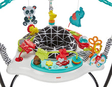 Load image into Gallery viewer, Fisher-Price Animal Wonders Jumperoo, White