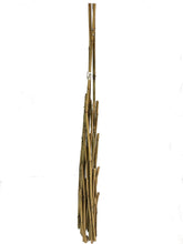 Load image into Gallery viewer, Natural Bamboo Poles Teepee, 60" H, Natural Finished, BT-60