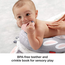Load image into Gallery viewer, Fisher-Price All-in-One Playmat