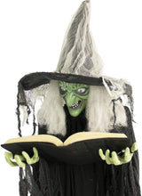 Load image into Gallery viewer, Haunted Hill Farm HHWITCH-9FLS Life-Size Animatronic Witch, Indoor/Outdoor Halloween Decoration, Multi