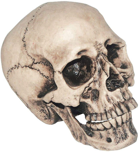 Global Trend Innovations Ltd Vinyl Skull Multicoloured One Size