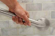 Load image into Gallery viewer, Moen 8732 Home 32-Inch Bathroom Grab Bar, Stainless