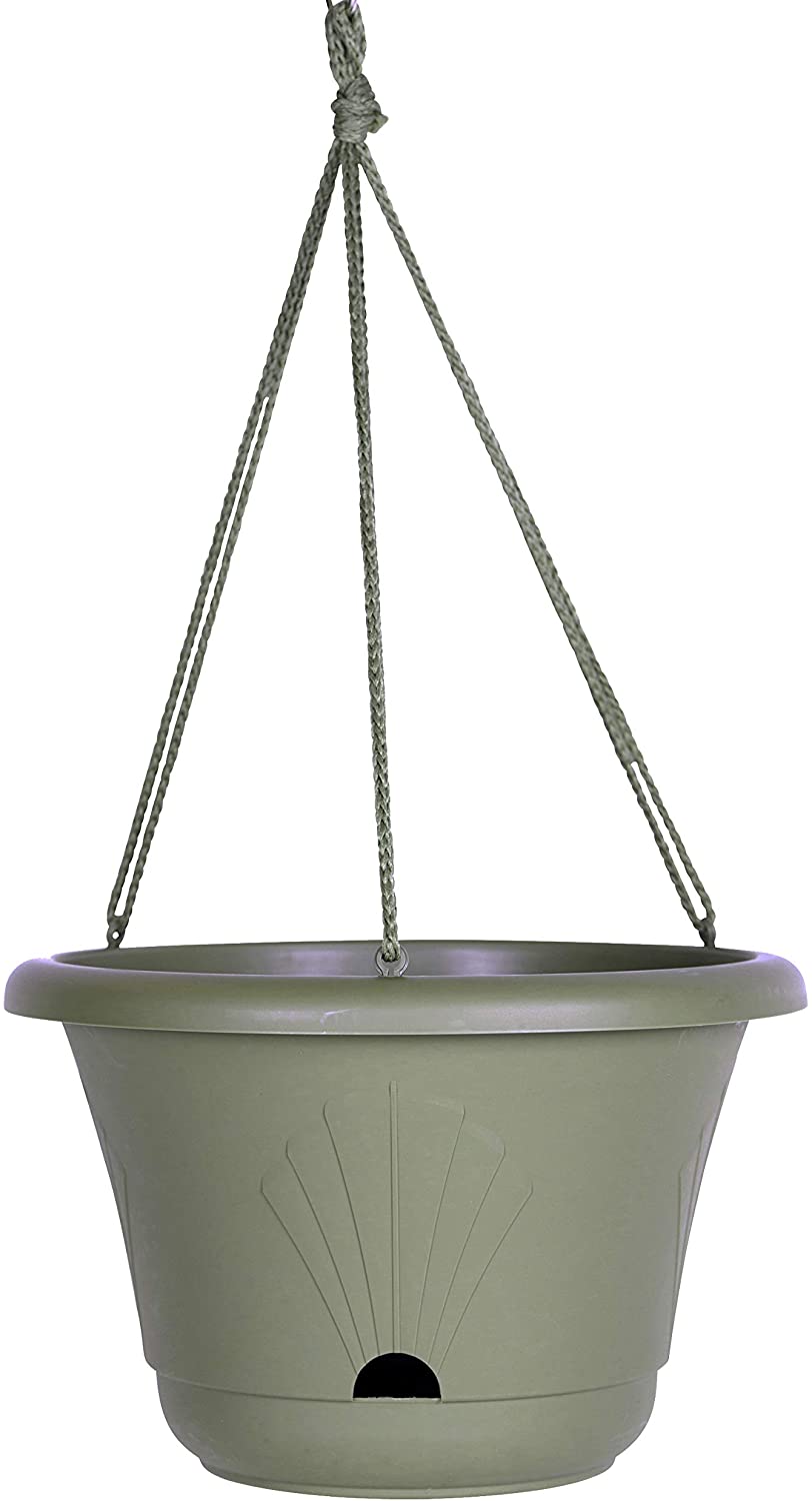 Bloem Lucca Self Watering Hanging Basket Planter