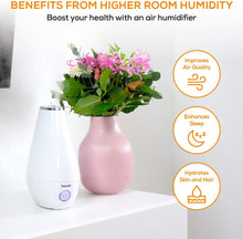 Load image into Gallery viewer, Beurer Air Humidifier